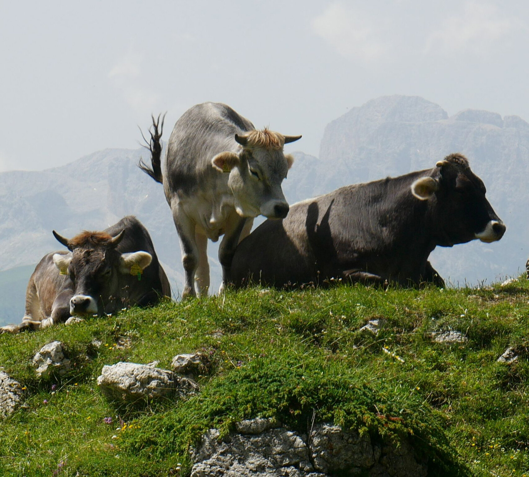 Fachbeiträge